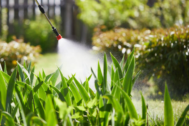 Tamper-Resistant Bait Stations for Rodents in Rincon Valley