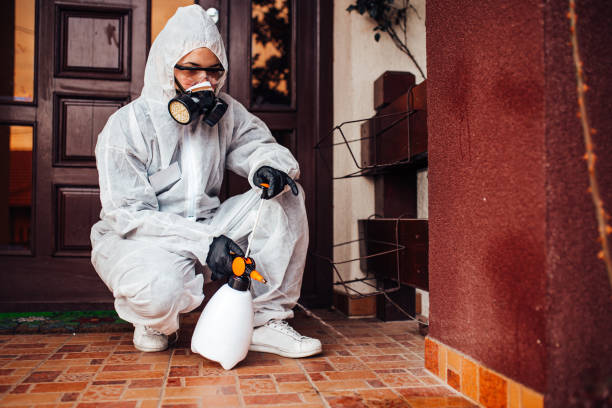 Attic and Crawl Space Rodent Treatment in Rincon Valley